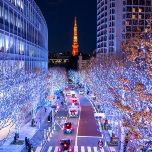 Roppongi Guide for Single Guys: Cafes, Izakaya, Bars and Escort Service
